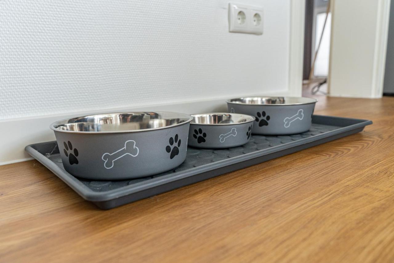 Appartement Nr 7 Im Sonnenbad 사스니츠 외부 사진